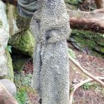 Ewe Garden