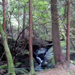 Ring of Beara