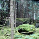 Ring of Beara