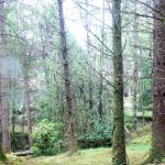 Ring of Beara
