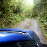 Typical country road