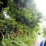 Typical country road