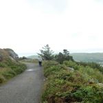 Cork countryside