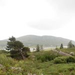 Cork countryside