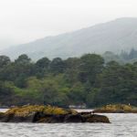Seal islands