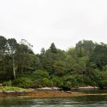 Seal islands