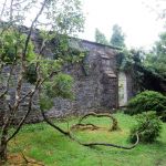 Walled garden