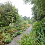 Garden path