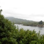 Garinish Island