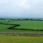 Peering over the walls
