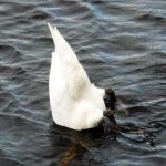 Local residents fishing