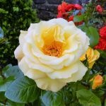 Bunratty Castle