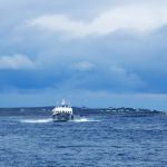 Incoming boat