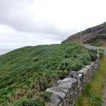Muckross Head