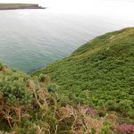 Muckross Head