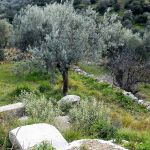 Oh look, another ancient building