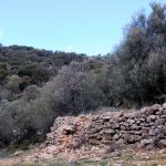 3,000 year-old walls
