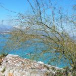 That's not a boat, that's an island