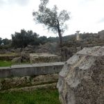 Olympia had no earthquake insurance