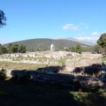 A view of the complex from the hospital
