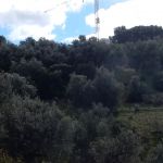 That crane isn't building condos