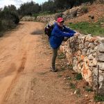 Testing Trump's theory