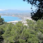 Peering down at the harbor