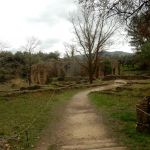 Nero's palace while they were rebuilding the burned down Rome