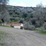 I think she's headed into the church. Either to pray this hike ends or to ask for forgiveness for what she's going to do to me.