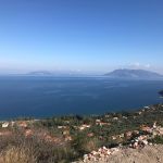 Return trip from Olympia