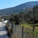 Off to the distillery