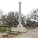 I'll have a Shirley Temple