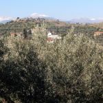 Snow capped mountains in the distance
