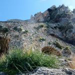 We just came from there