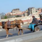 Traffic on the Egyptian Beltway