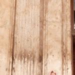 This place is really big