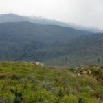 It must have been impressive