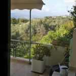 A peek out the window