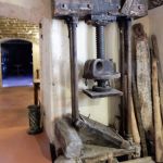 A little out of focus