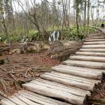 Kilometers of boardwalks