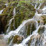 Water covers every square meter