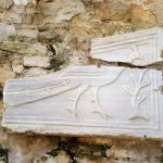 I dig peacocks (pea fowl)