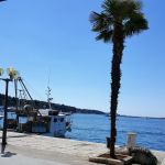 Its a beautiful day on the waterfront