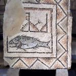 Mean looking Christian fish symbol