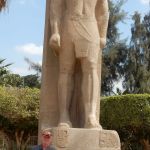 Scouting Egypt for the NBA