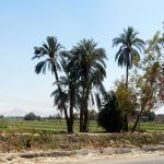 Drive from the airport