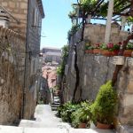 The walk down from our apartment