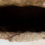 Old bones visible in the crypt