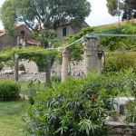 Beautiful church garden