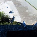 Are those ants or people?